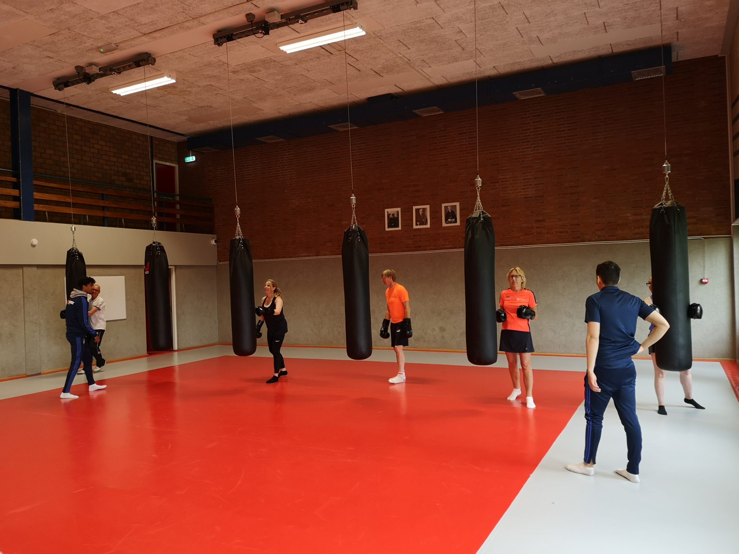 TransFit 4